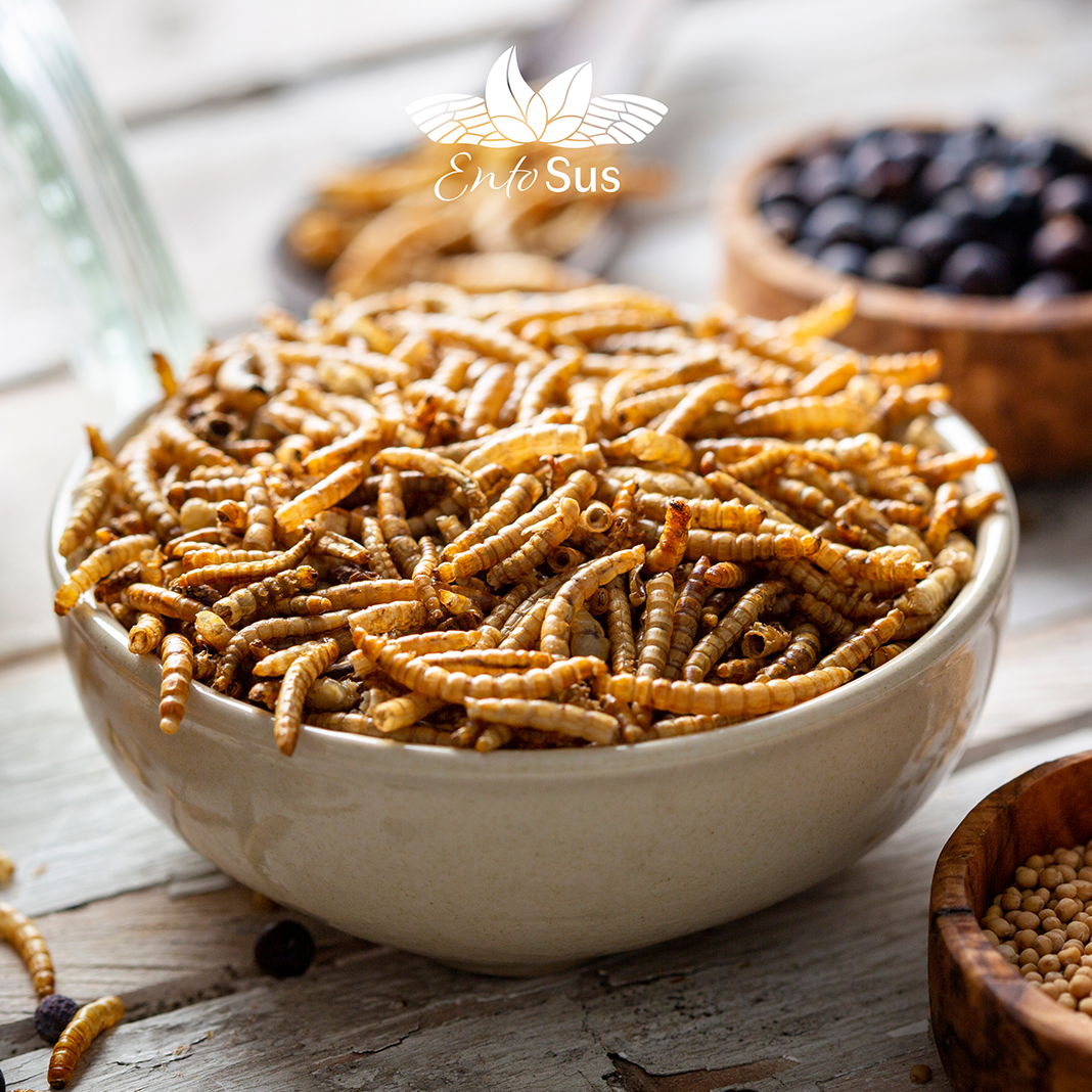 EntoSus - getrocknete Mehlwürmer Naturbelassen - nachhaltige Proteinquelle mit mild-nussigem Geschmack 40g
