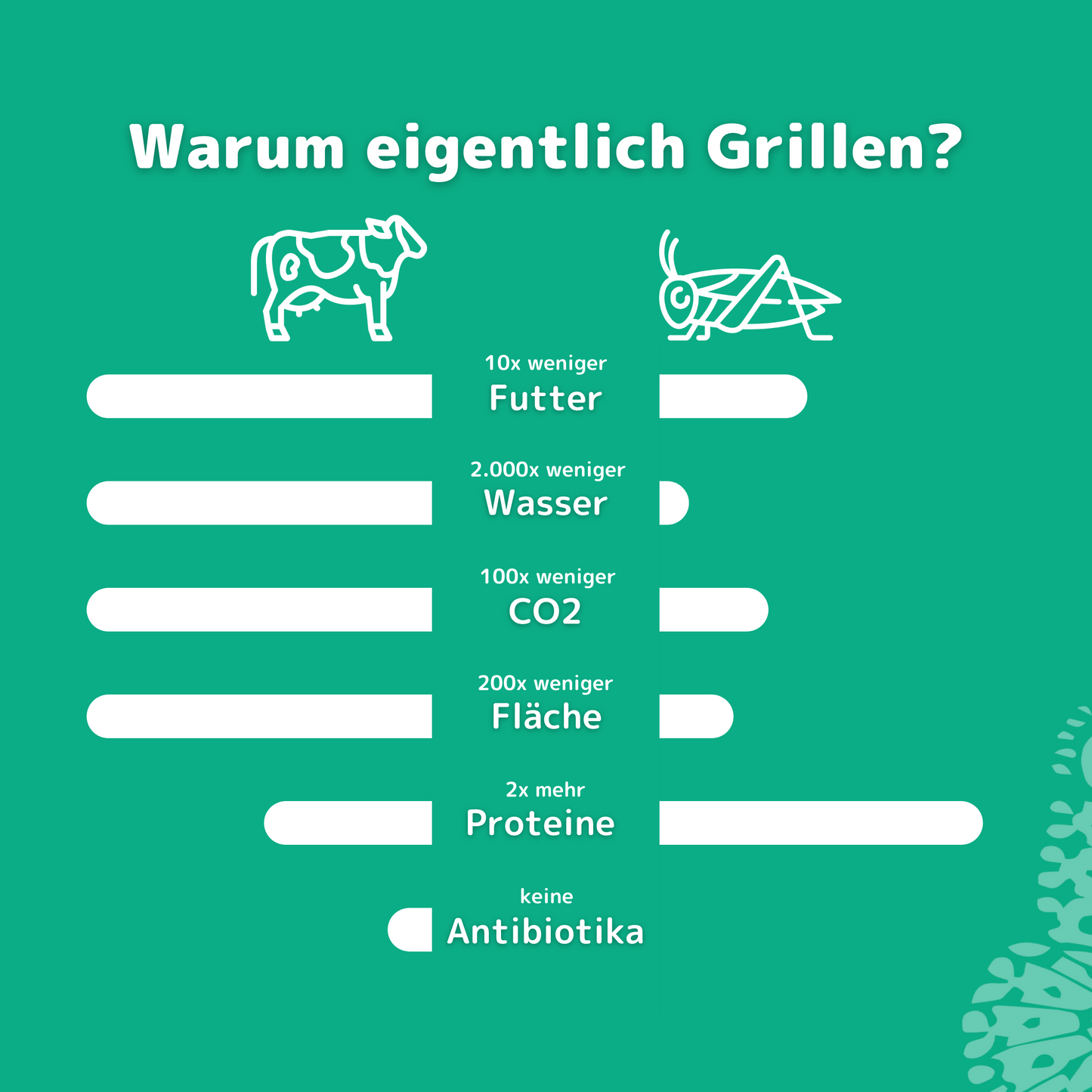 Beneto - High Protein Pasta in 3 Sorten - Natur, Steinpilz, Tomate - Nährstoffreicher Genuss mit gutem Gewissen!