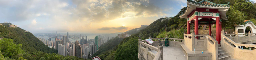 EntoSus Goes China und Hongkong: Hongkong im Fokus (Teil 2)