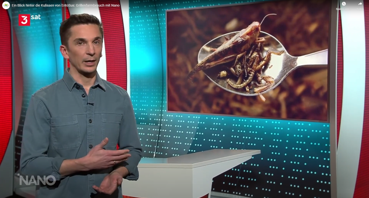 Beitrag von 3sat nano über die Insektenzucht von EntoSus in Bremen
