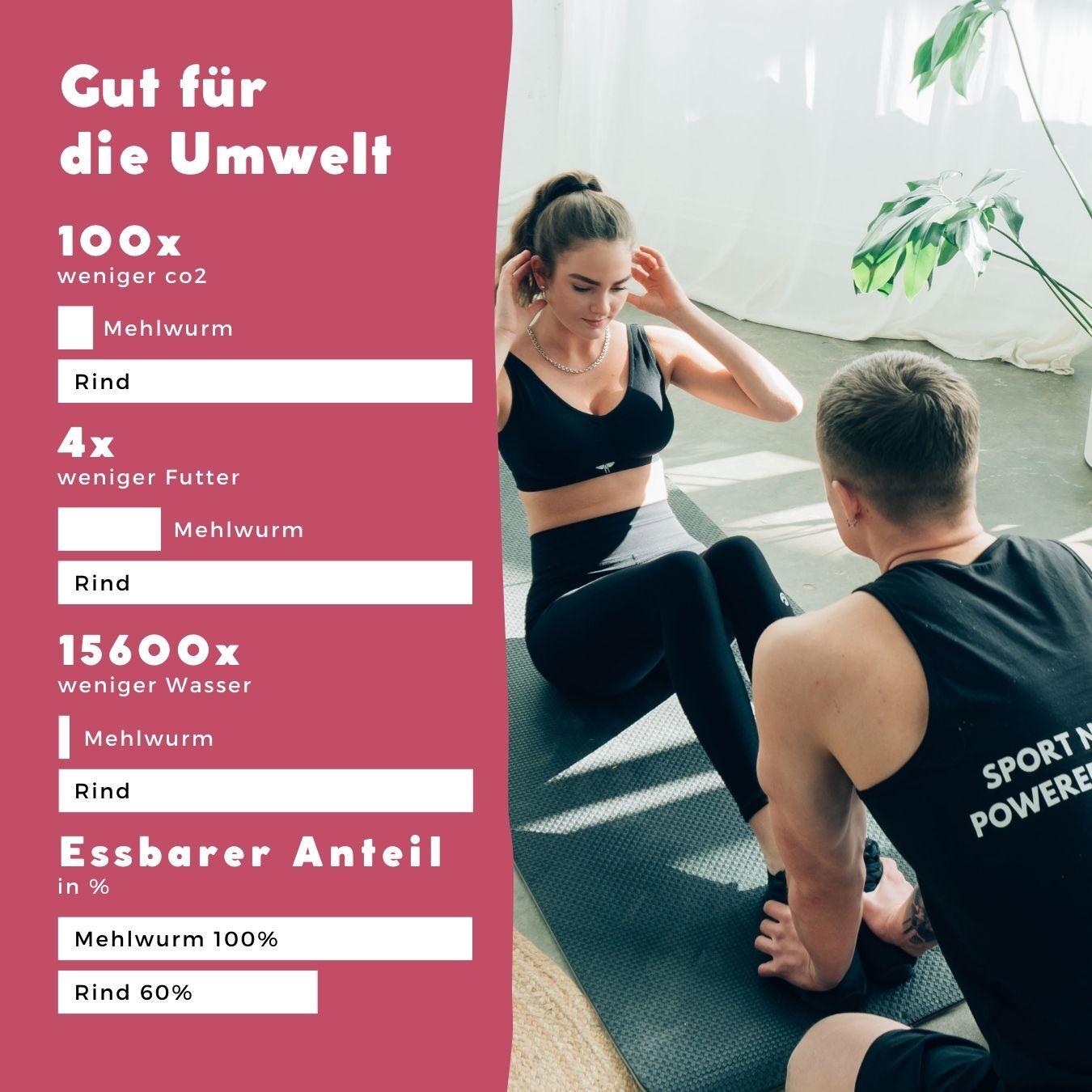 
                  
                    Mybugbar - Insekten Protein Porridge
                  
                
