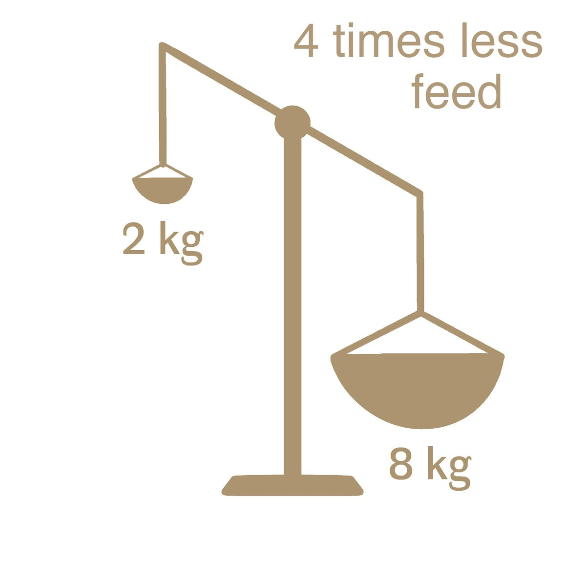 Scales comparing 2 kilos of feed per kilo of crickets with 8 kilos per kilo of beef