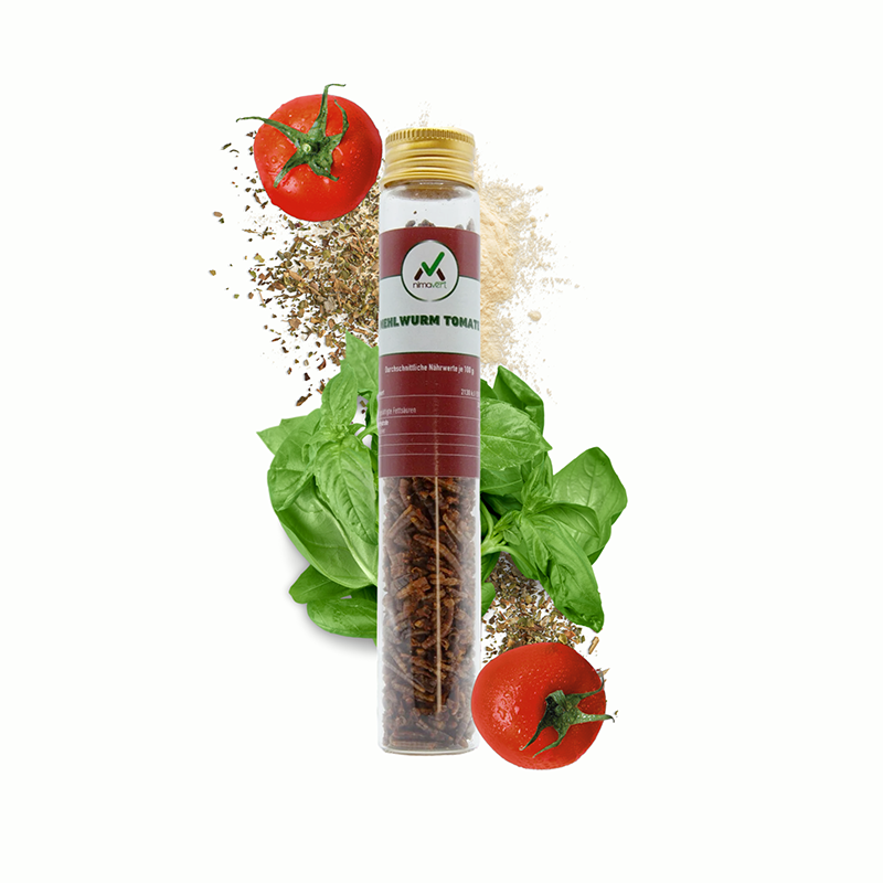 Mehlwurm im Glas - Tomate