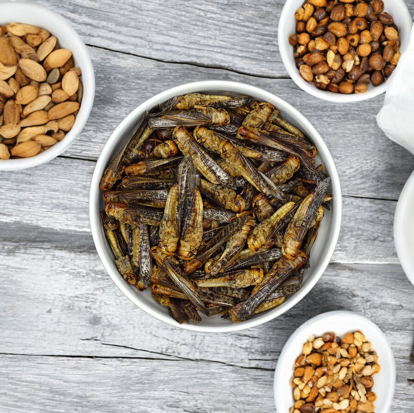 
                  
                    EntoSus - dried grasshoppers, natural - sustainable protein source with a mild nutty flavor 20g
                  
                