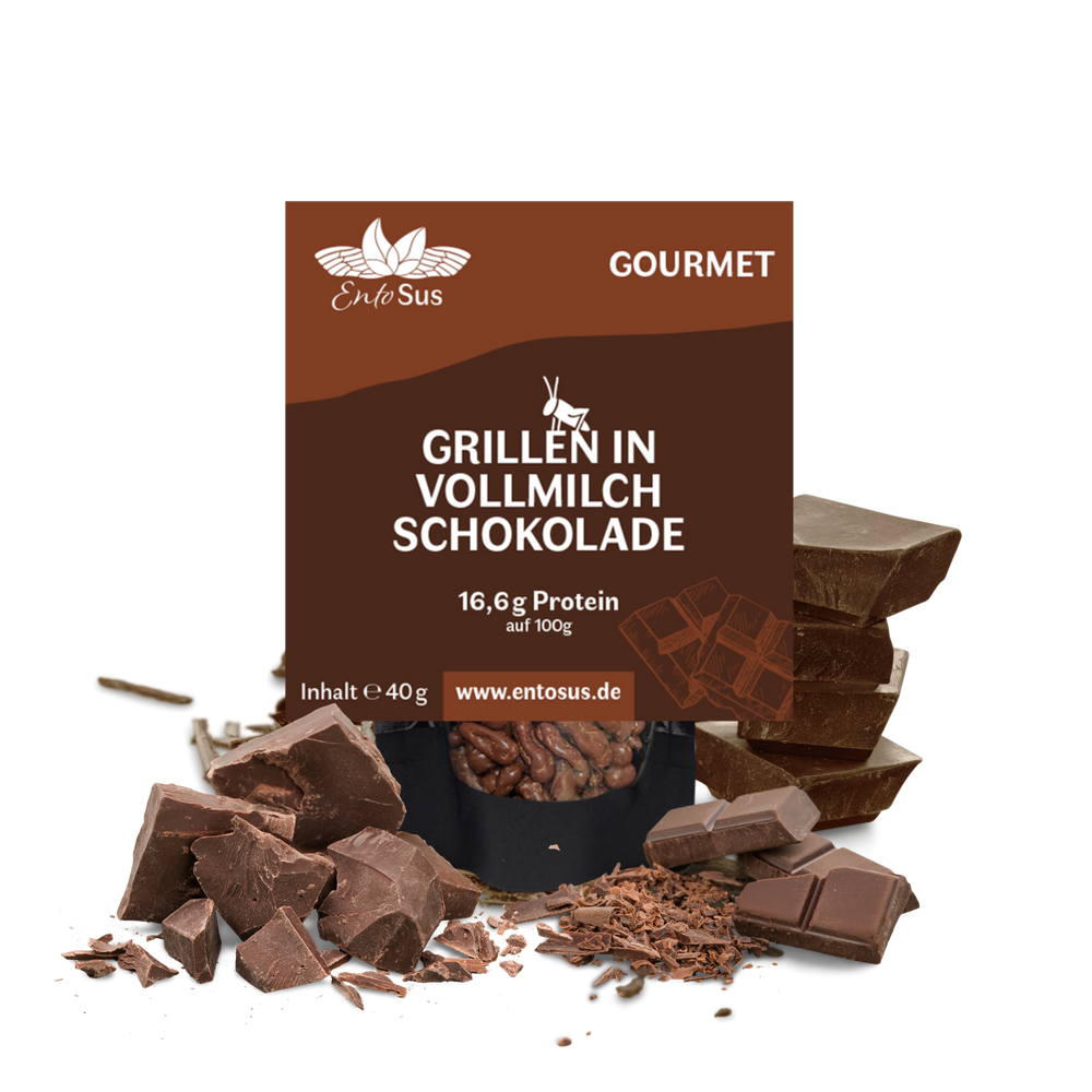 Knusprige Grillen in Belgischer Vollmilch Schokolade