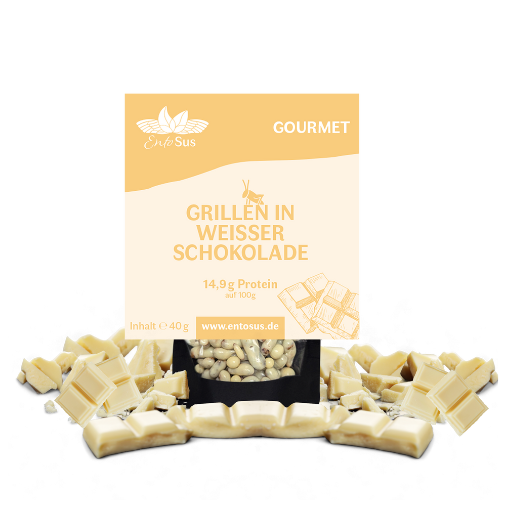 Knusprige Grillen in Belgischer Weißer Schokolade