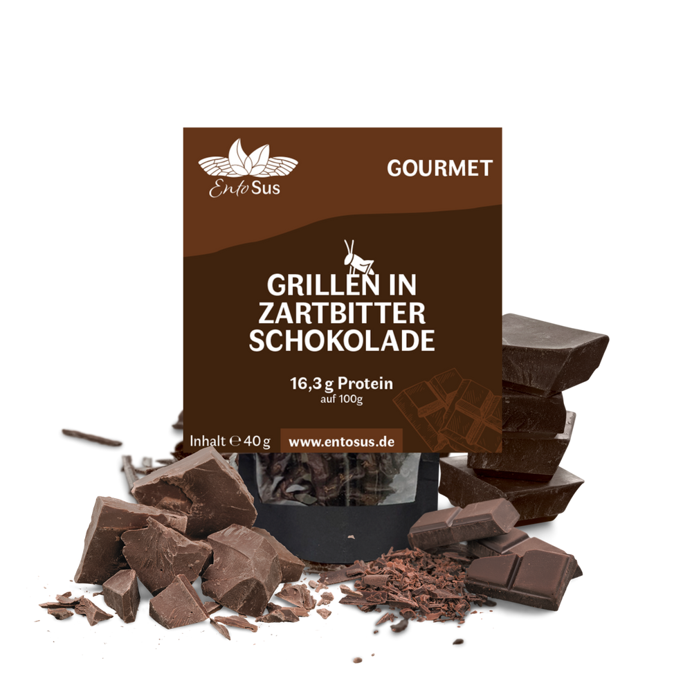 Crispy crickets in Belgian dark chocolate